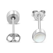 6pairs, Mother of Pearl Oval Silver Stud Earrings, e345